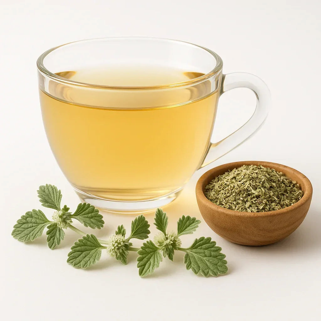 Bio Andornkraut - Naturheiltee