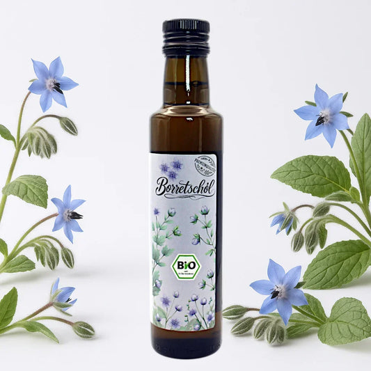 Bio Borretschöl
