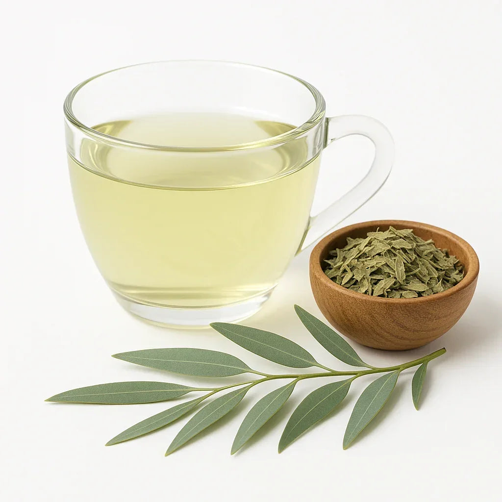 Bio Eukalyptusblätter - Naturheiltee