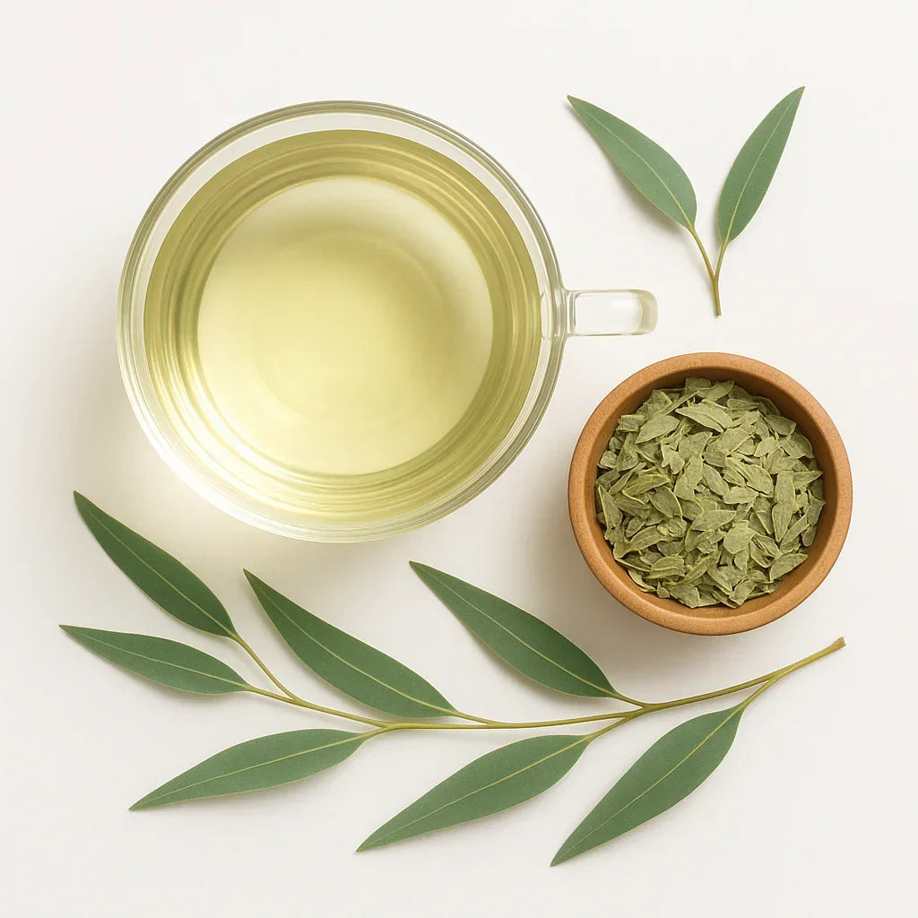 Bio Eukalyptusblätter - Naturheiltee