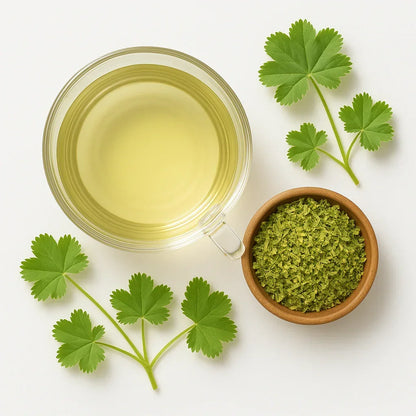 Bio Frauenmantelkraut - Naturheiltee