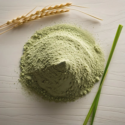 Bio Gerstengraspulver - Naturheiltee