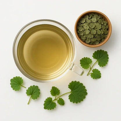 Bio Gundermannkraut - Naturheiltee