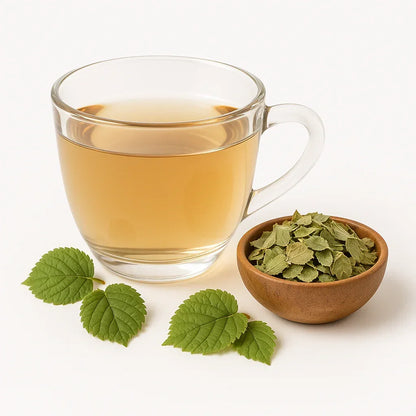 Bio Haselnussblätter - Naturheiltee