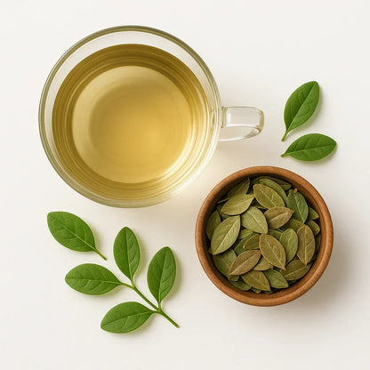 Bio Heidelbeerblätter - Naturheiltee