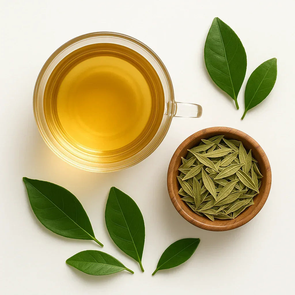 Orangenblaetter2 - Naturheiltee