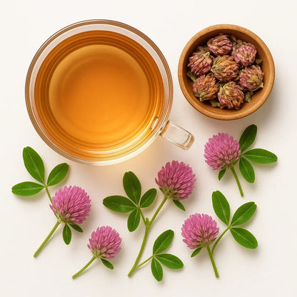 Rotkleeblueten2 - Naturheiltee