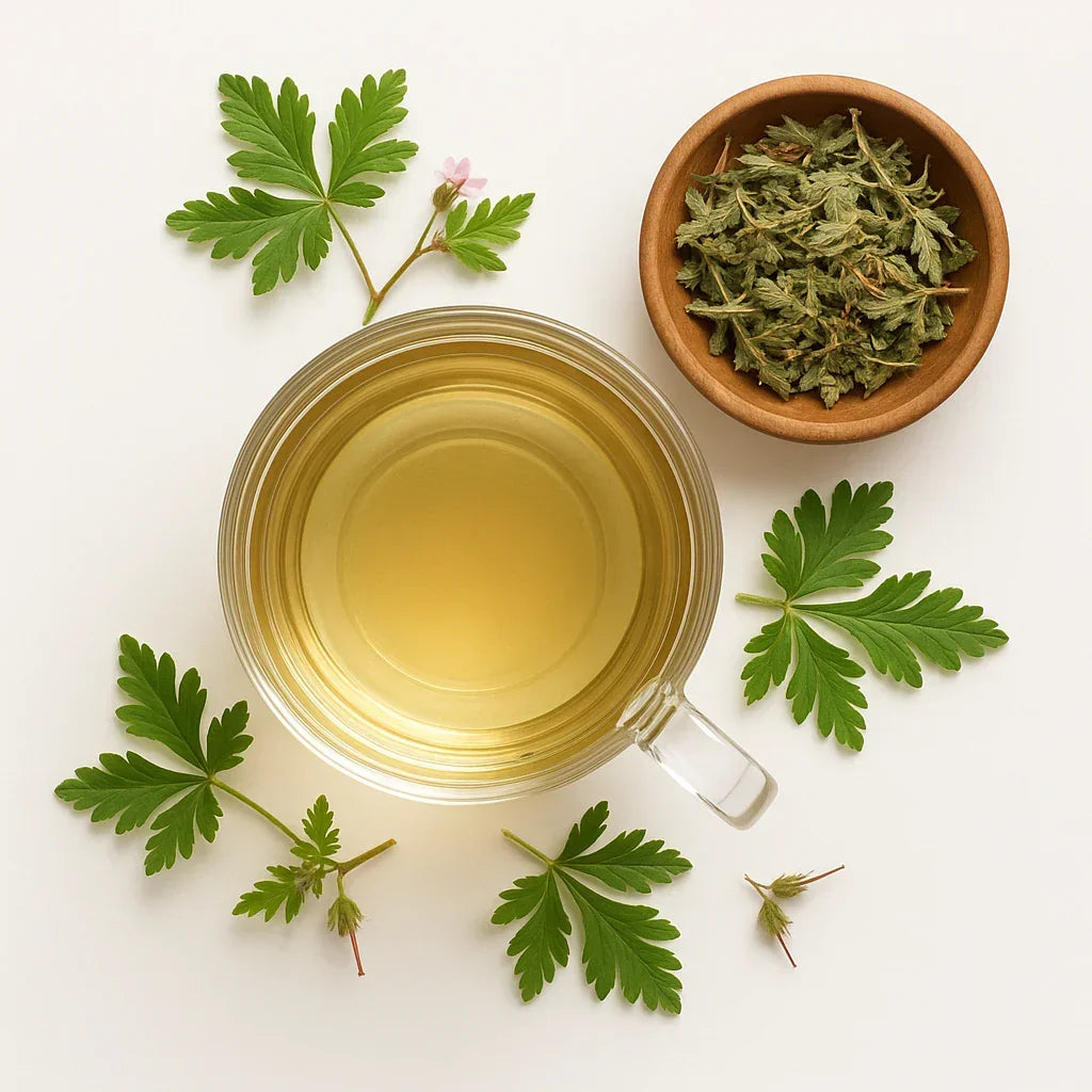 Storchschnabelkraut2 - Naturheiltee