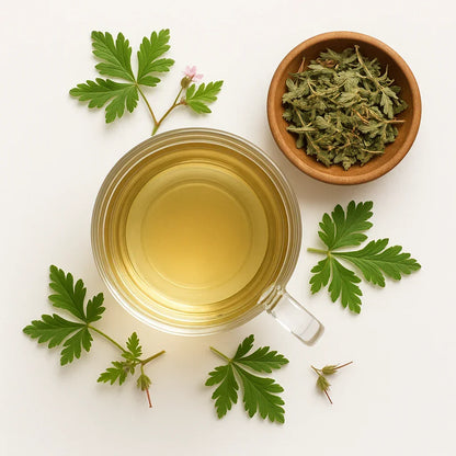 Storchschnabelkraut2 - Naturheiltee