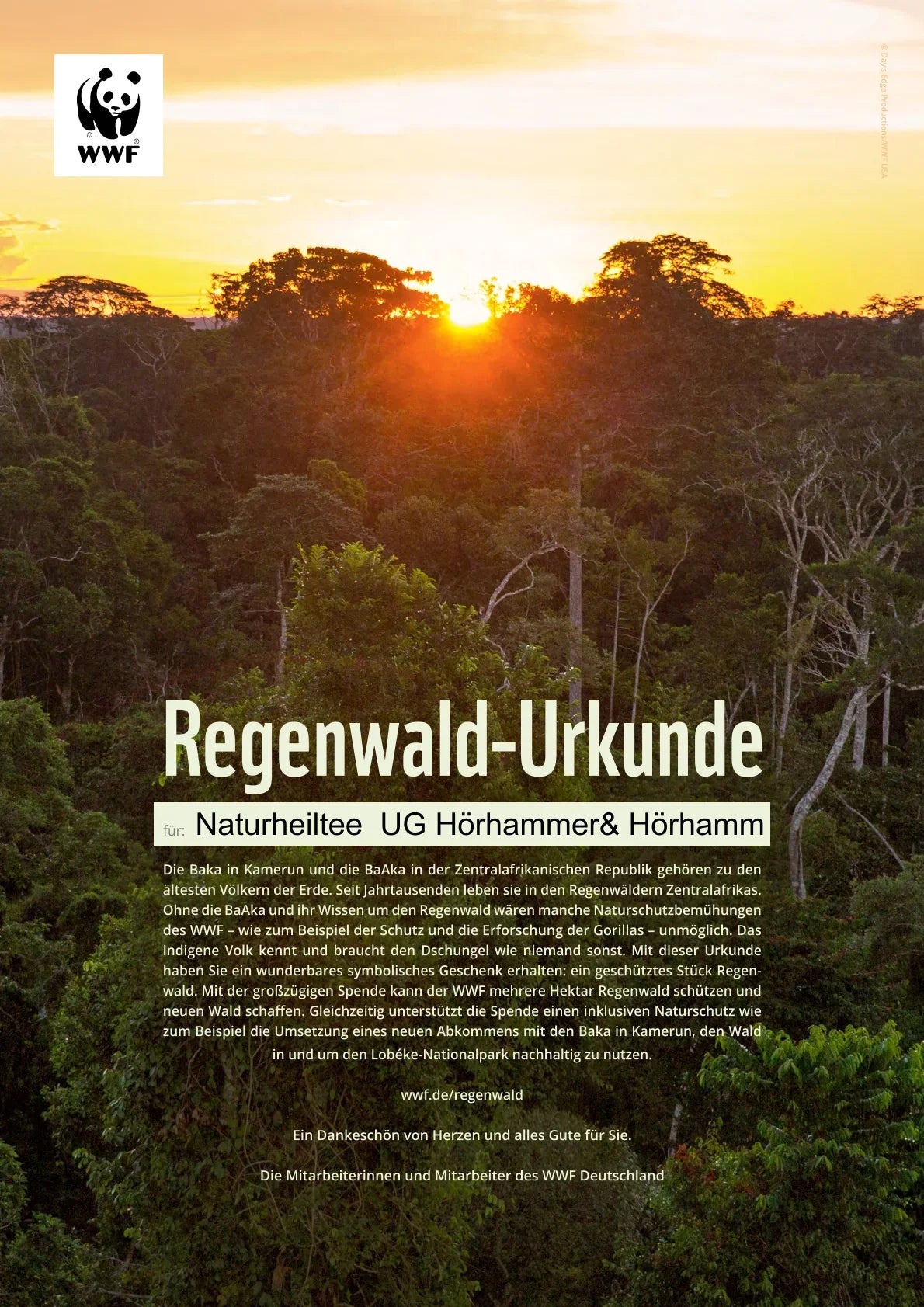 WWF-Urkunde-Regenwald-ausfuellbar - Naturheiltee