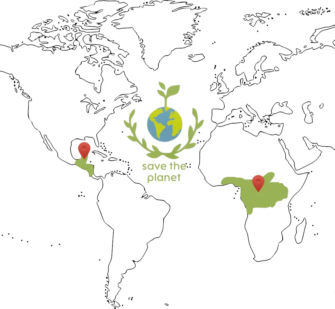 Weltkarte_90b351cf-f814-4928-891d-97c9d8f20760 - Naturheiltee