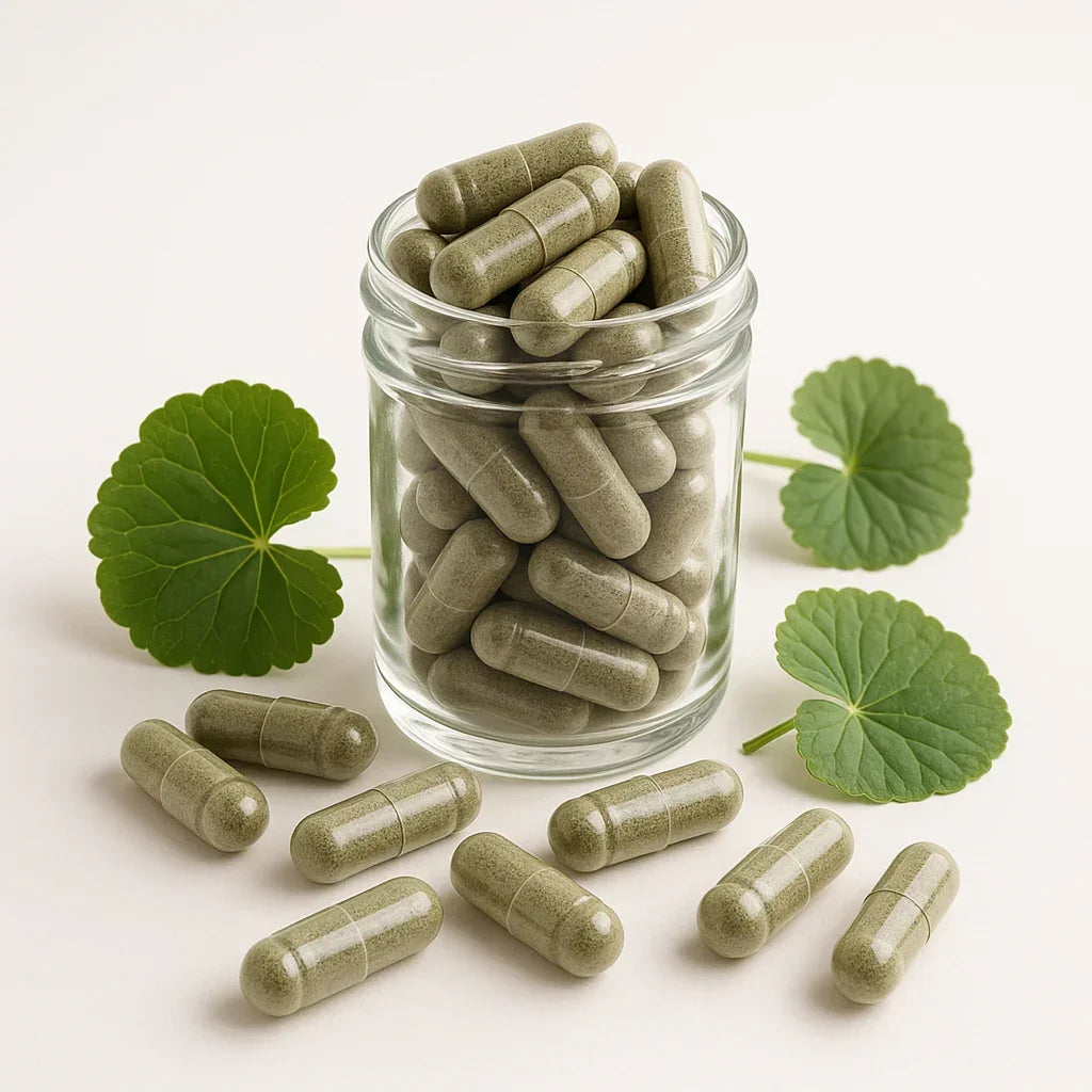 Gotu Kola kapseln - Naturheiltee